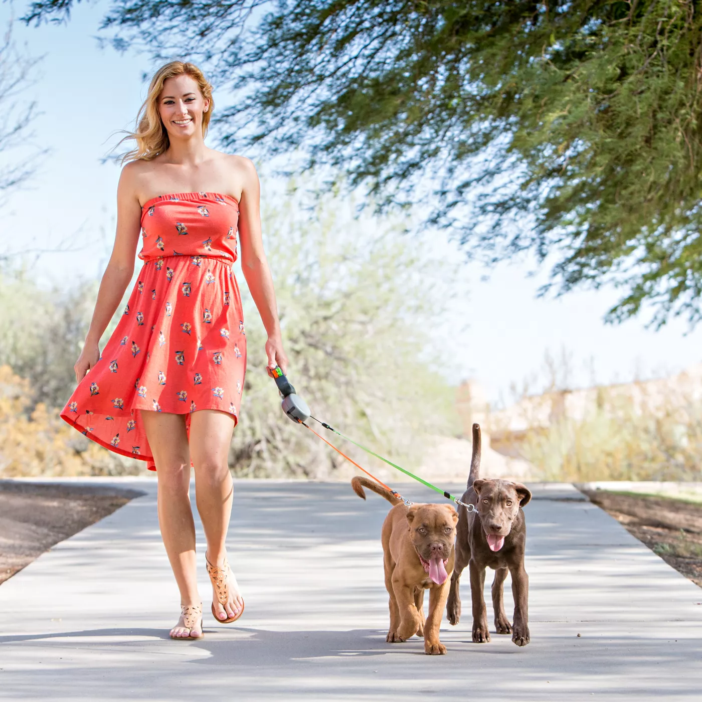 Dual Retractable Double Dog Leash